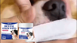 EelJoy Pet Dental Wipes