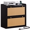 Dextrus Wood File Cabinet with Charging Station, Lateral Filing Cabinet Printer Stand Fits A4 Letter Legal Size Files, White