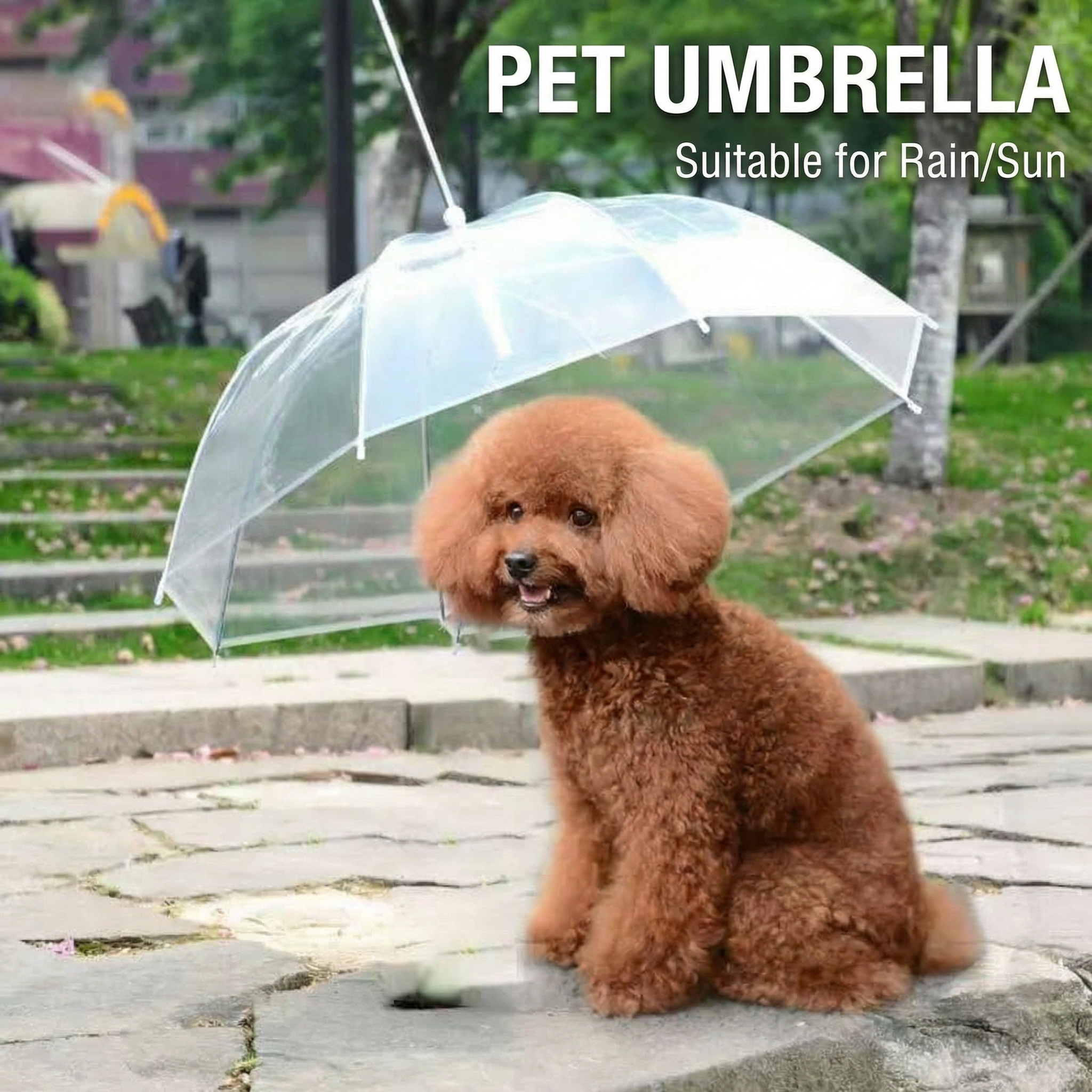 Portable Dog Umbrella Leash – Clear Rain Shelter for Teddy, Bichon & Toy Breeds