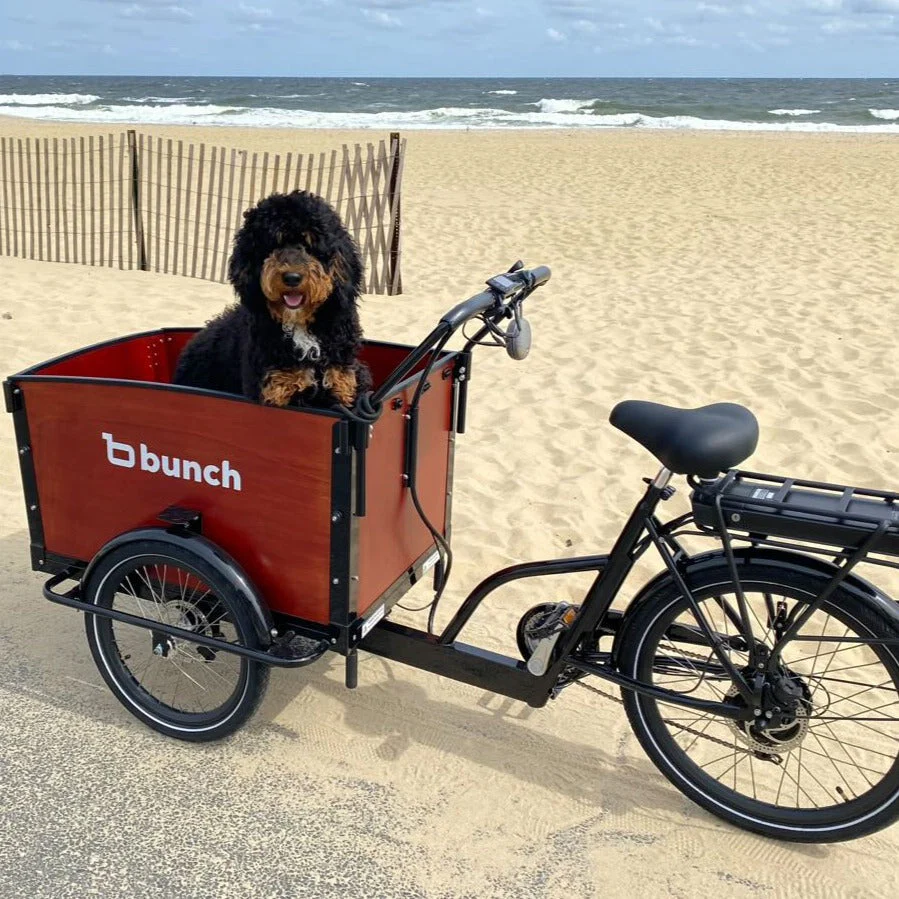 Electric Cargo Bike