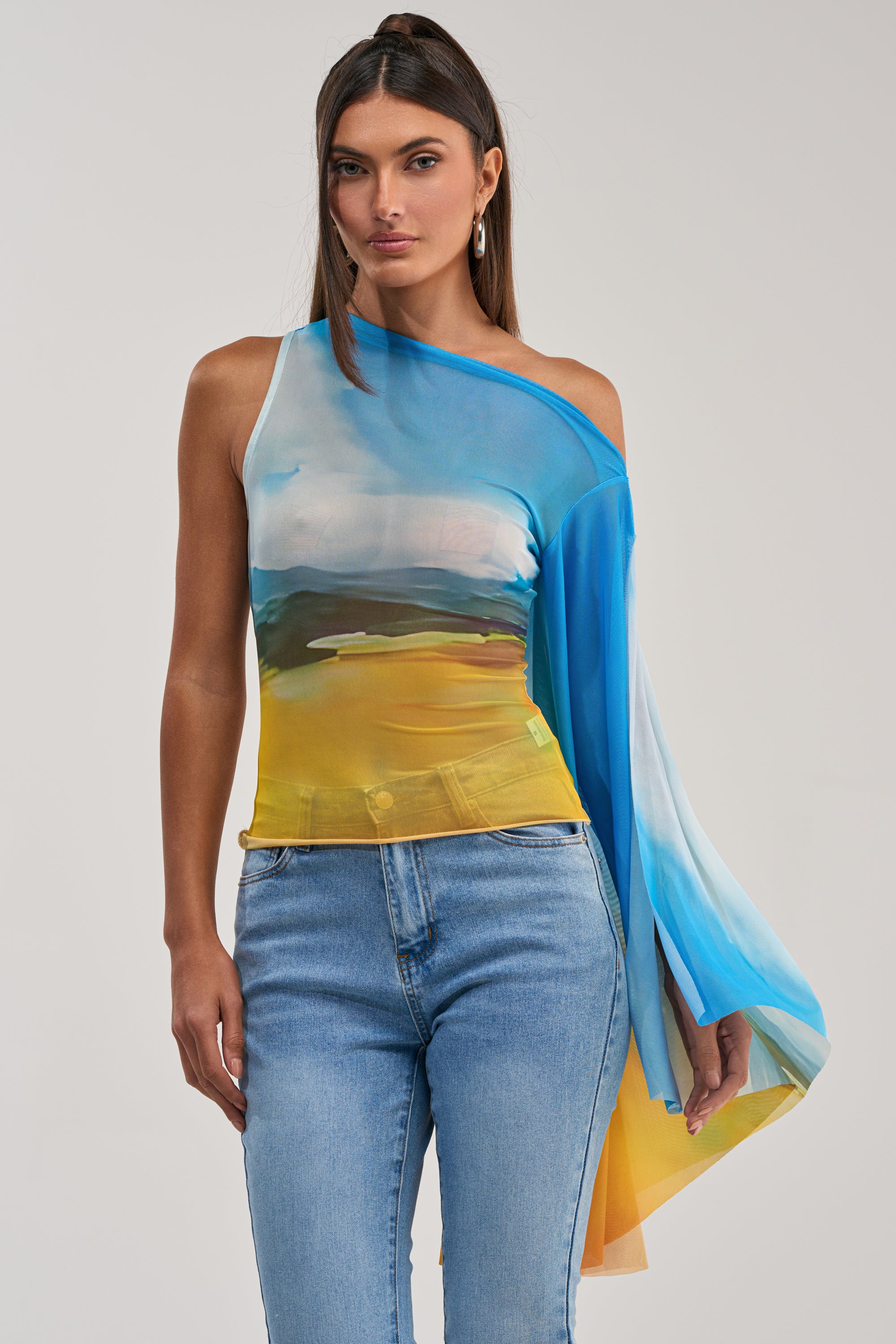 PICTURESQUE LONG SLEEVE MESH TOP - Akira Wear
