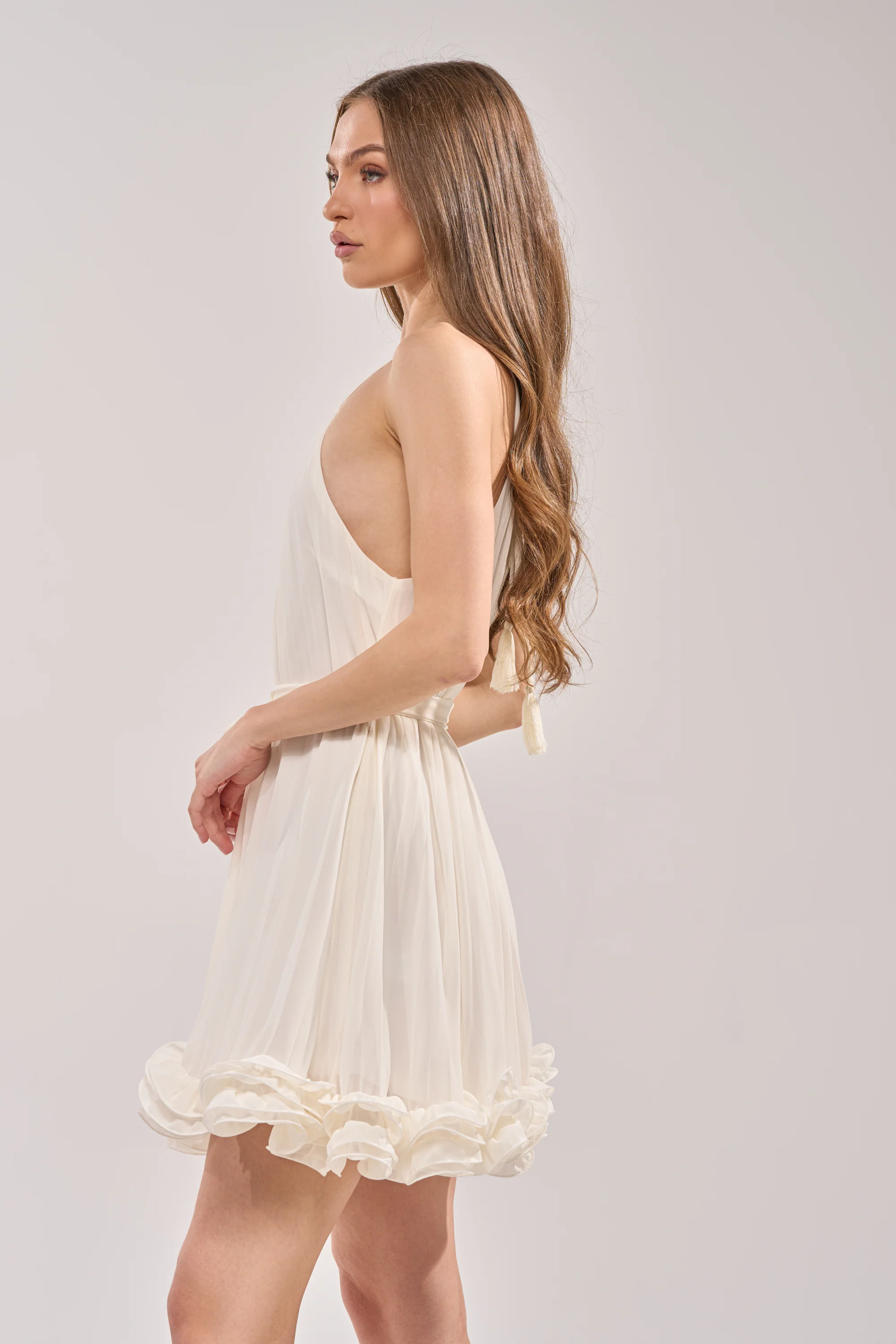 CAMERA PLEASE RUFFLE MINI DRESS - Akira Wear