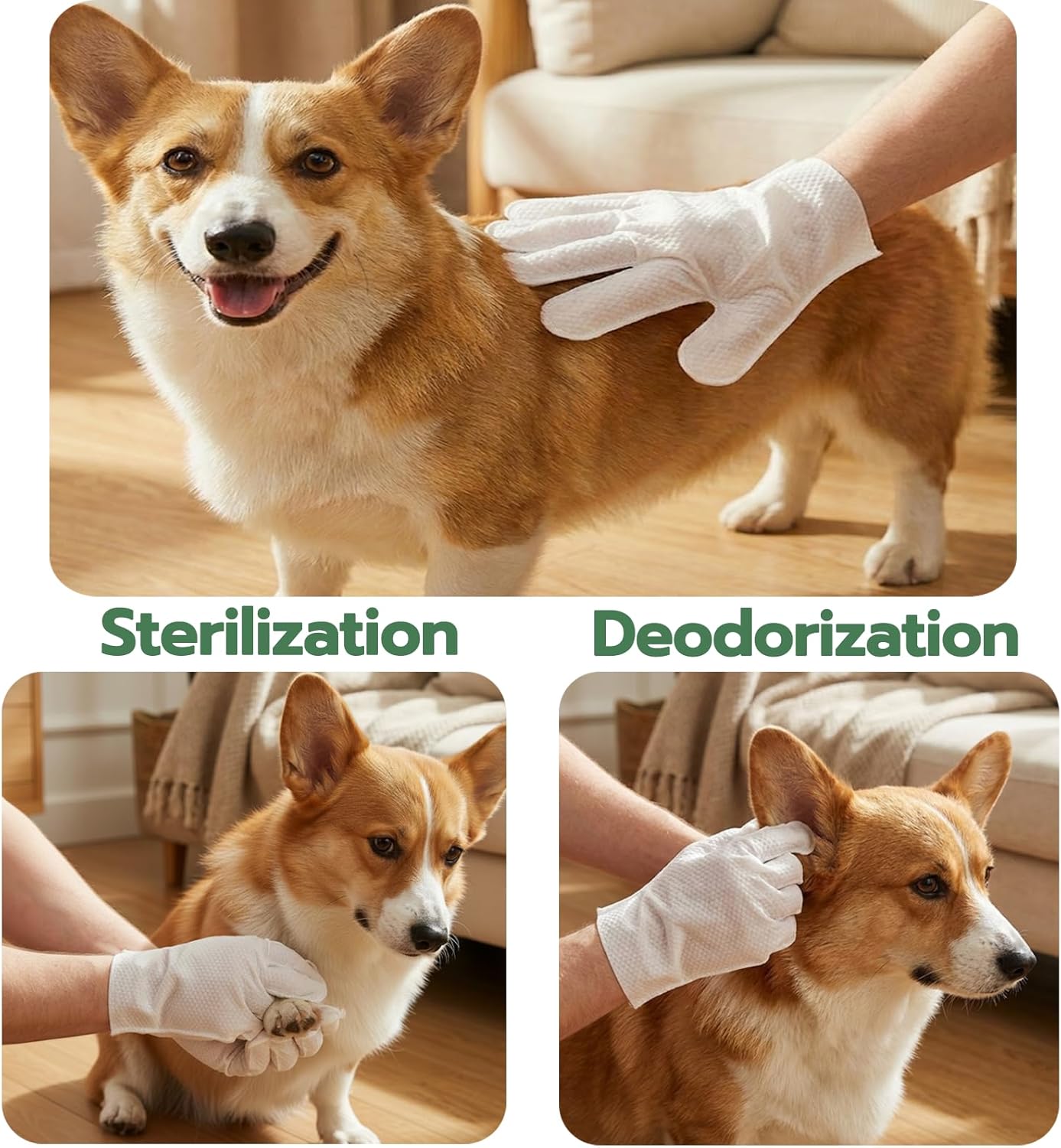 Pet Washing Glove Wipes