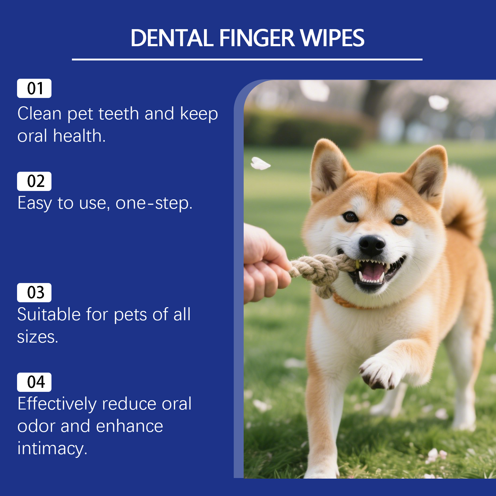 EelJoy Pet Dental Wipes