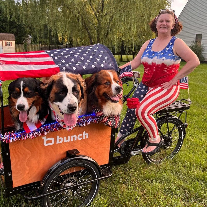 The K9 4+ Upgraded Electric Cargo Bike For Dogs