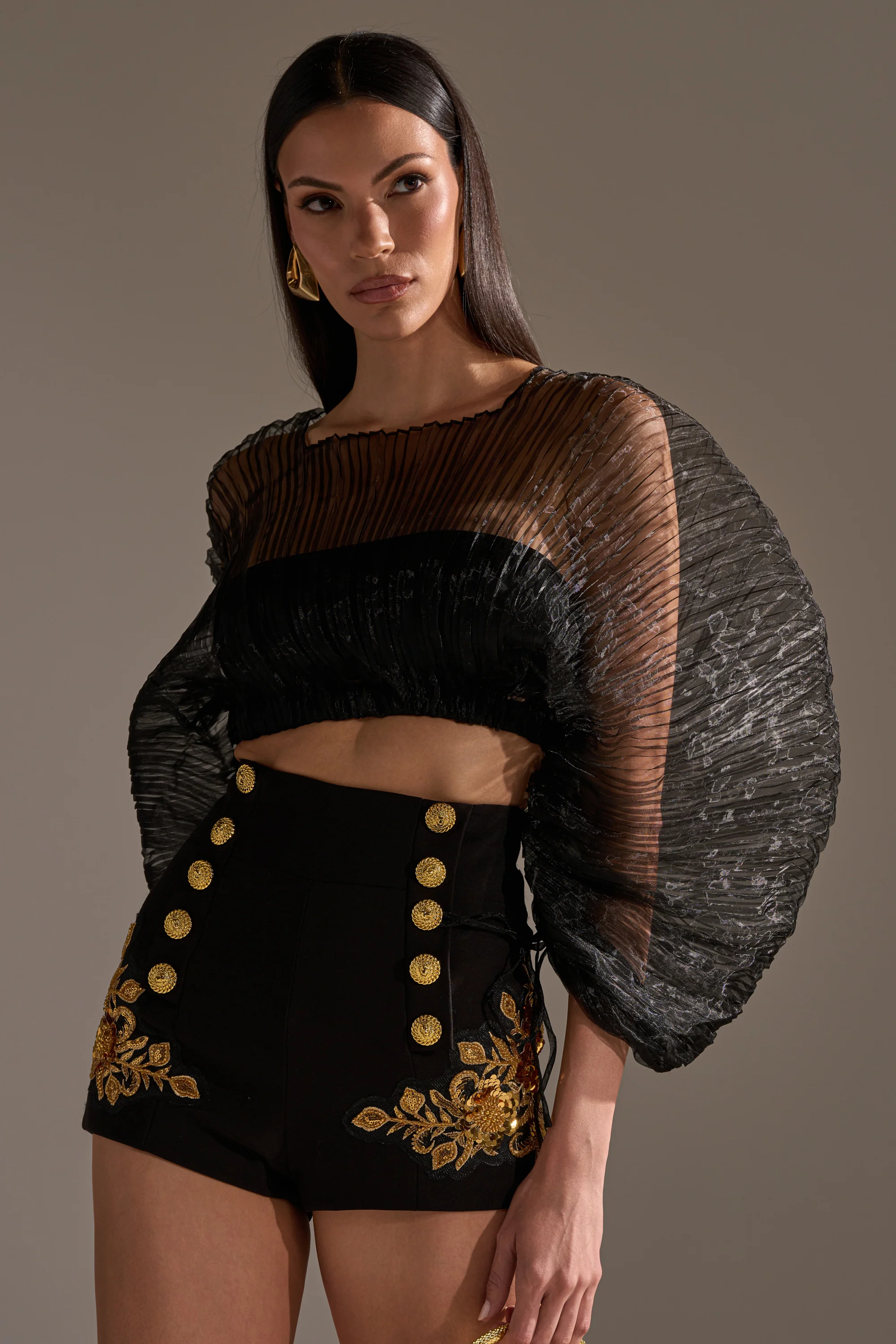 FORTUNES FAVORITE SHEER LONG SLEEVE CROP TOP - Akira Wear