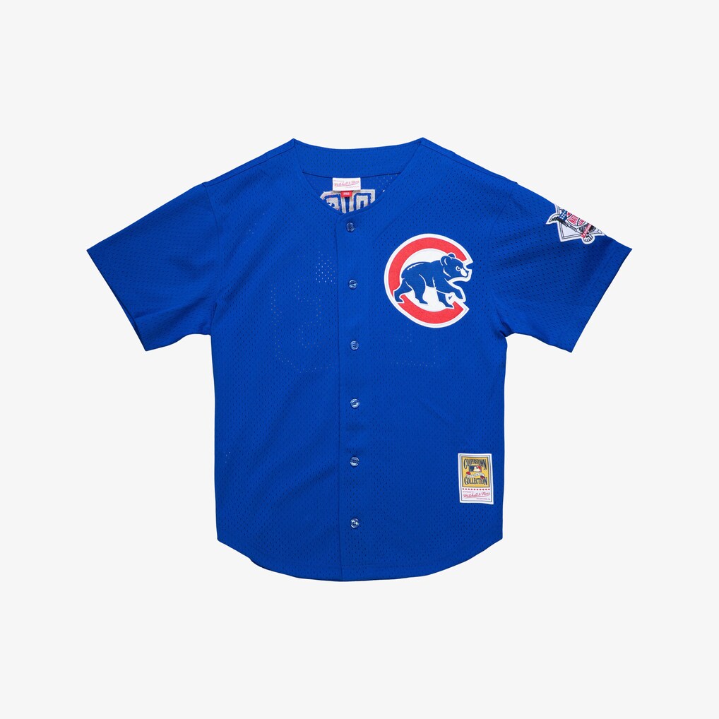 Men's Chicago Cubs Ryne Sandberg Mitchell & Ness Royal Cooperstown Collection 1997 Mesh Batting Practice Button-Up Jersey - Jersey