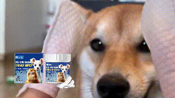 EelJoy Pet Eye Cleaning Finger Wipes for Dogs & Cats