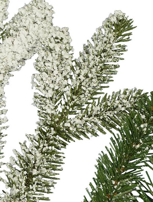 Frosted Fraser Fir?