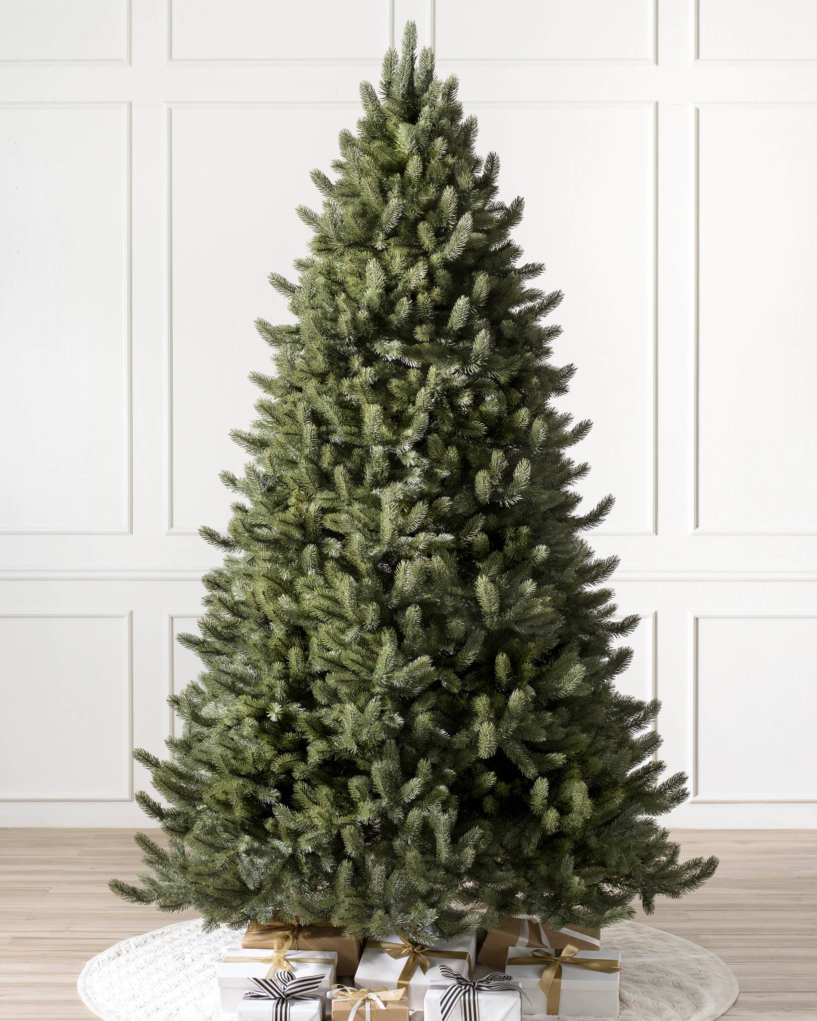 Vermont White Spruce?