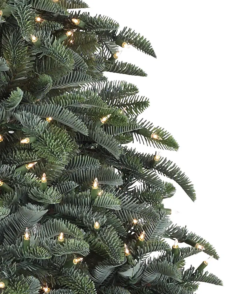 BH Noble Fir? Flip Tree?