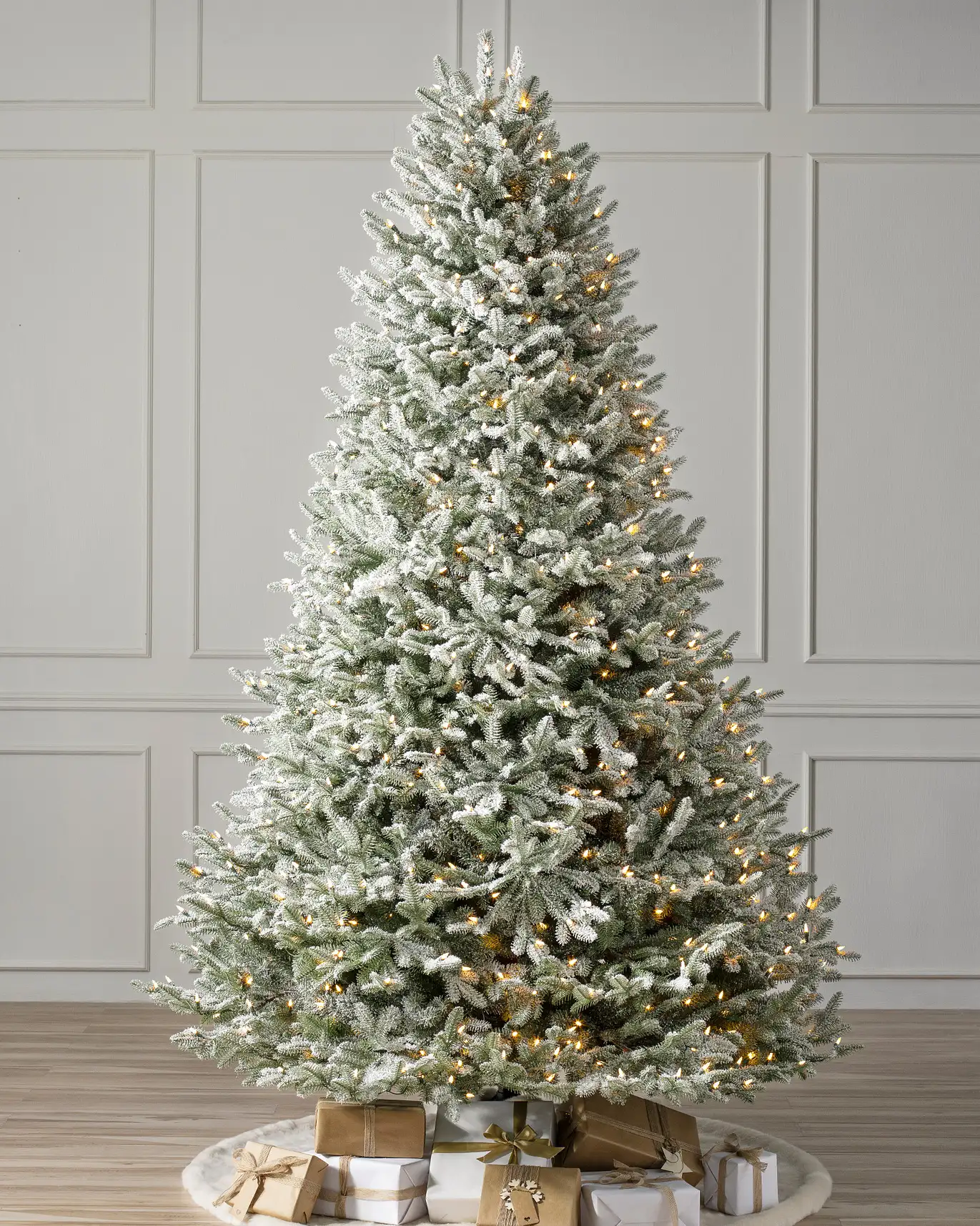 Frosted BH Balsam Fir?