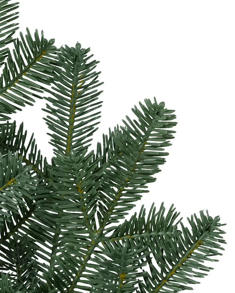 BH Balsam Fir? Narrow Tree