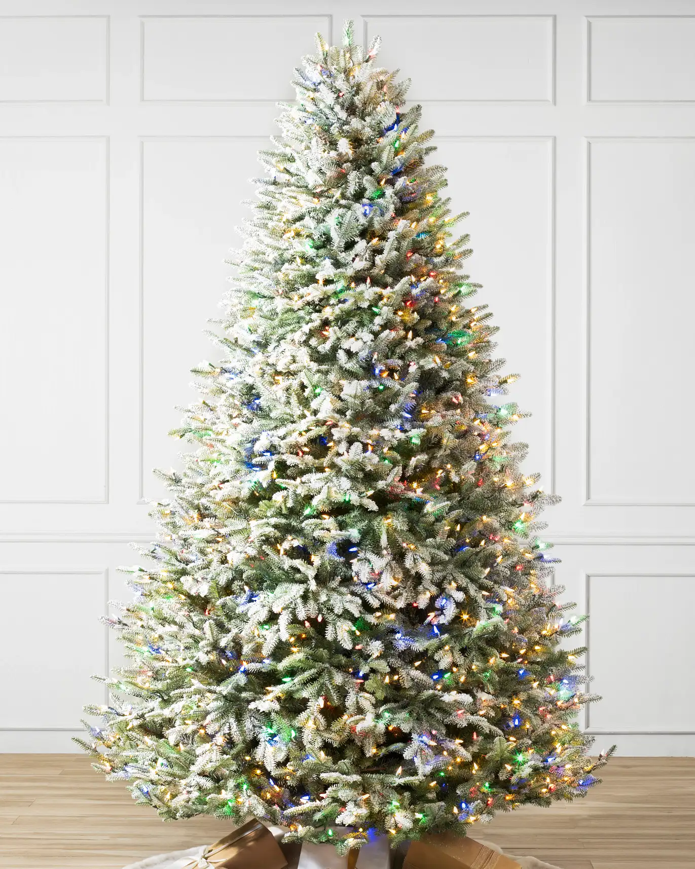 Frosted BH Balsam Fir?