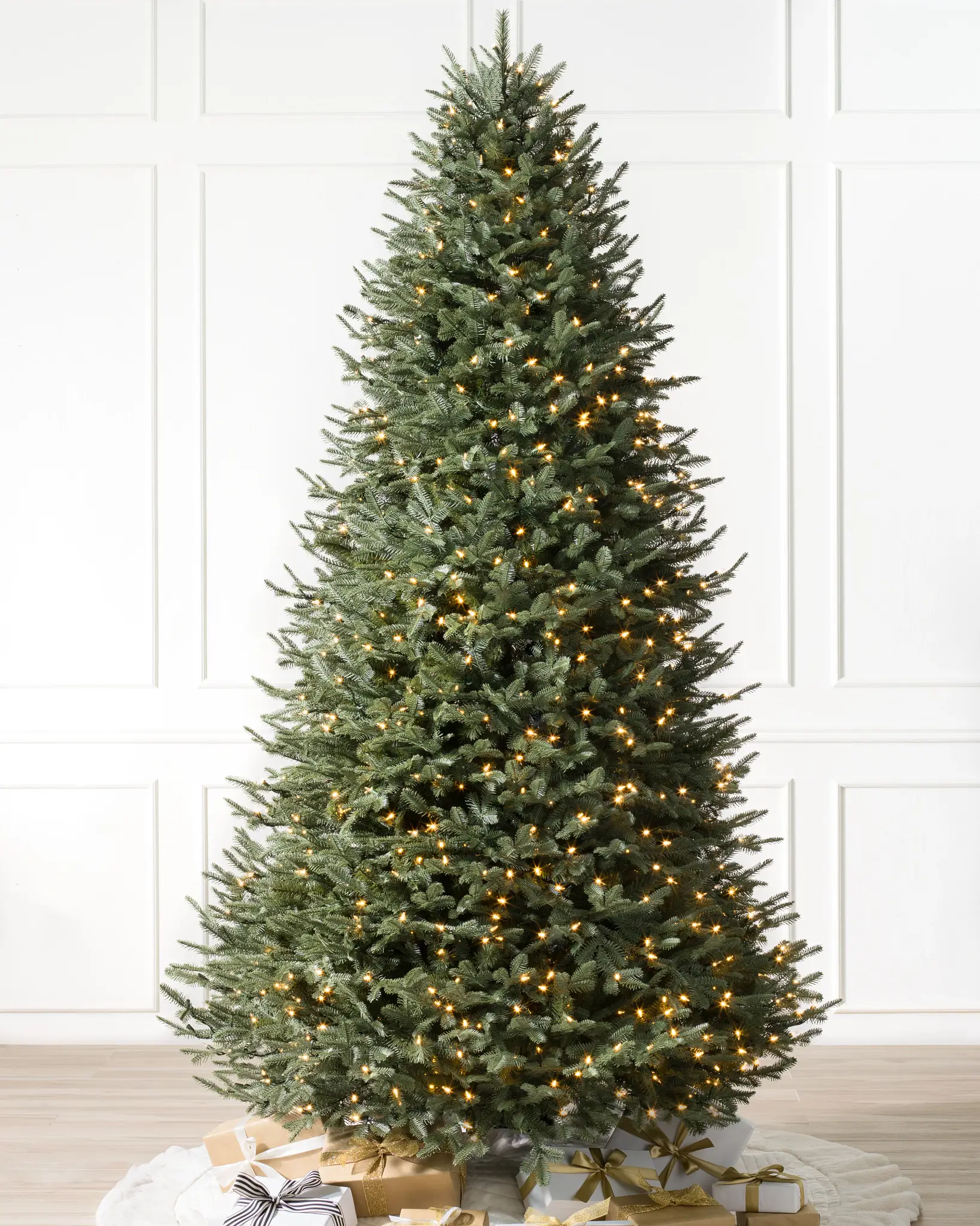 BH Balsam Fir? Narrow Tree