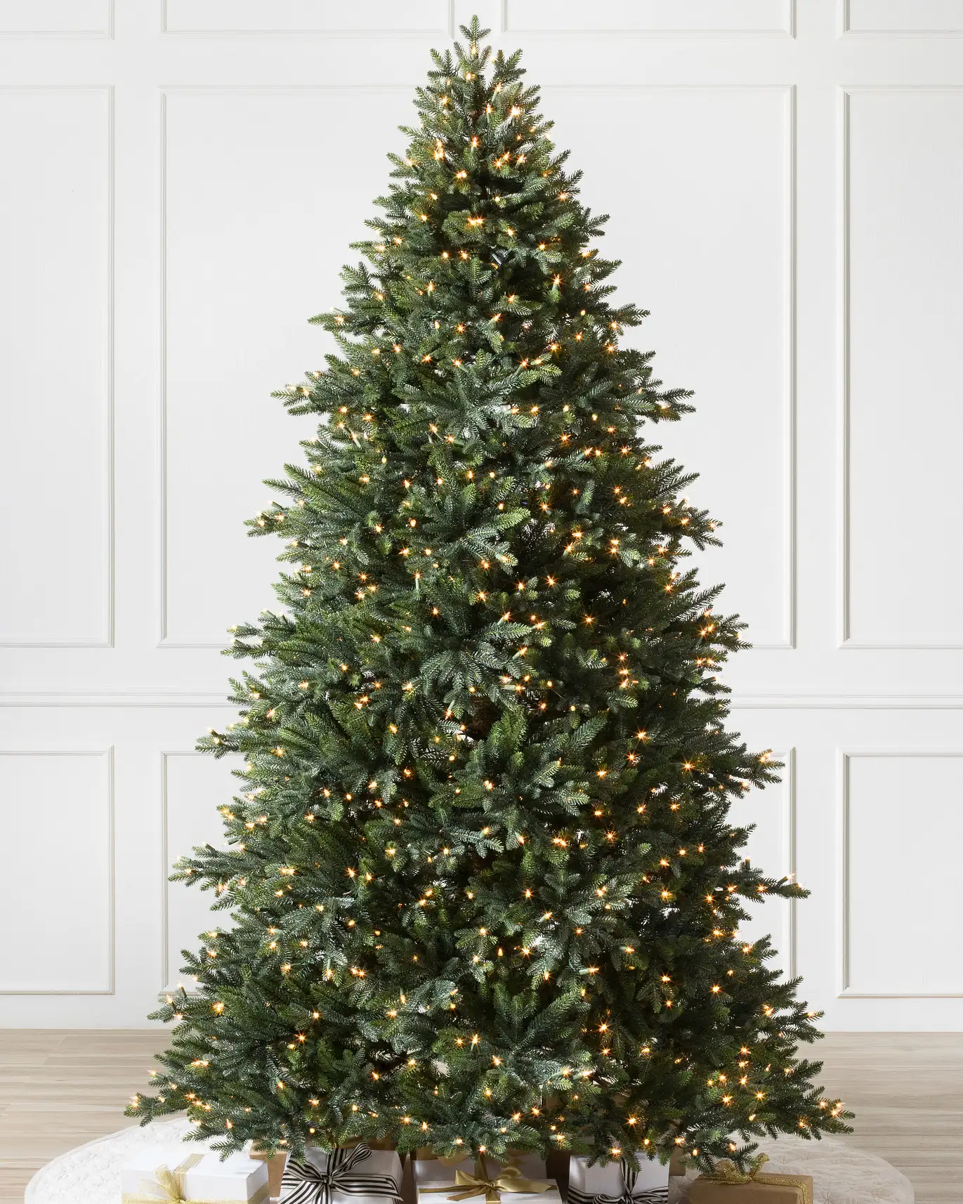 Colorado Mountain Spruce?