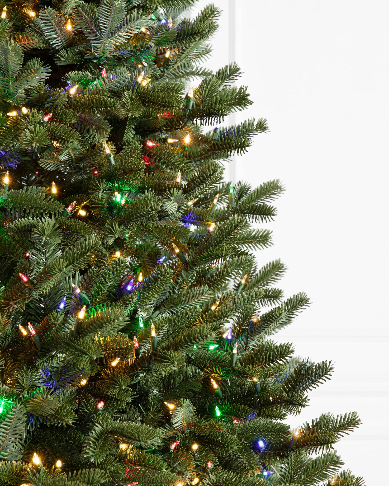 BH Fraser Fir? Tree