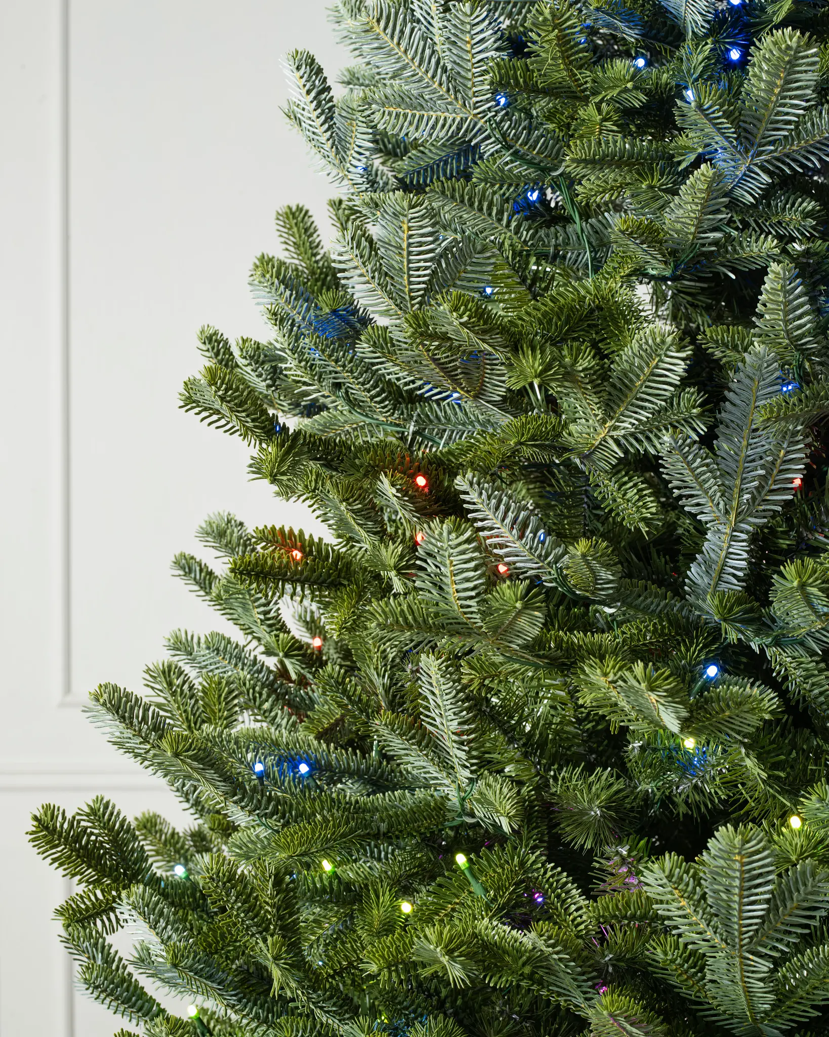 BH Fraser Fir? Flip Tree?