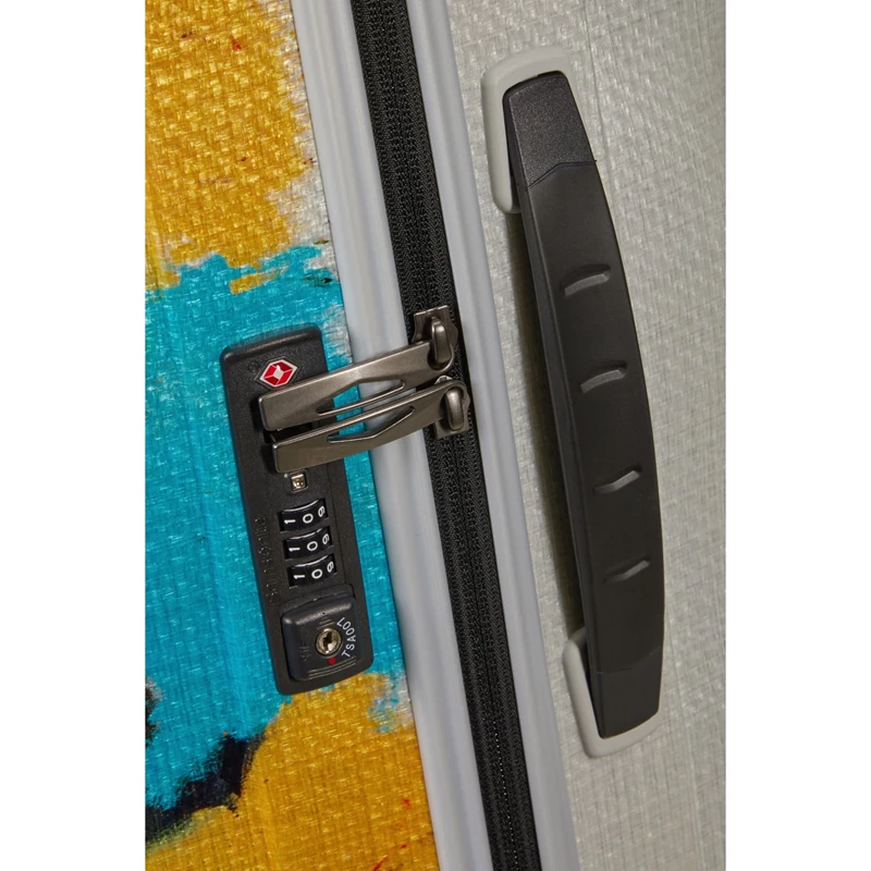 Untitled Skull Samsonite C-Lite Large Spinner Checked Luggage | 9237-ZMFKN