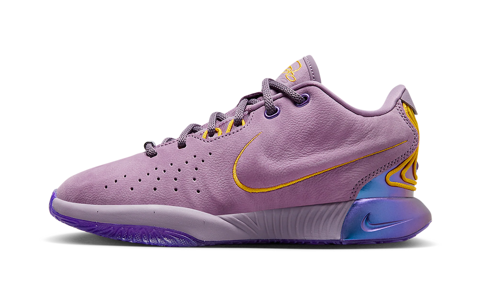 LeBron 21 GS Purple Rain - LeBron 21 GS Purple Rain - Jordan 1s - AIR Jordan 1