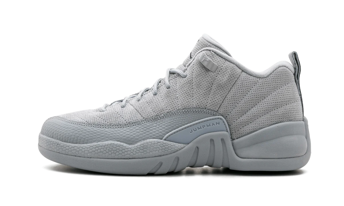 Air Jordan 12 Retro GS Wolf Grey - Air Jordan 12 Retro GS Wolf Grey - Jordan 1s - AIR Jordan 1