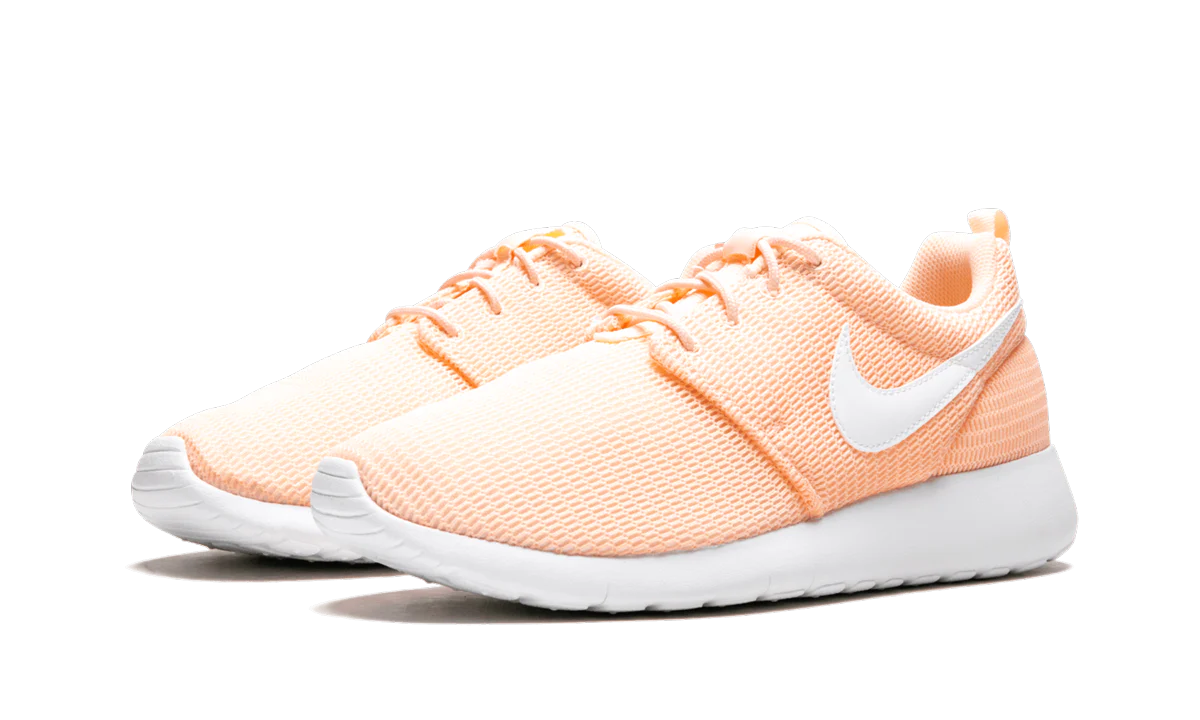 Roshe One (GS) - Roshe One (GS) - Jordan 1s - AIR Jordan 1