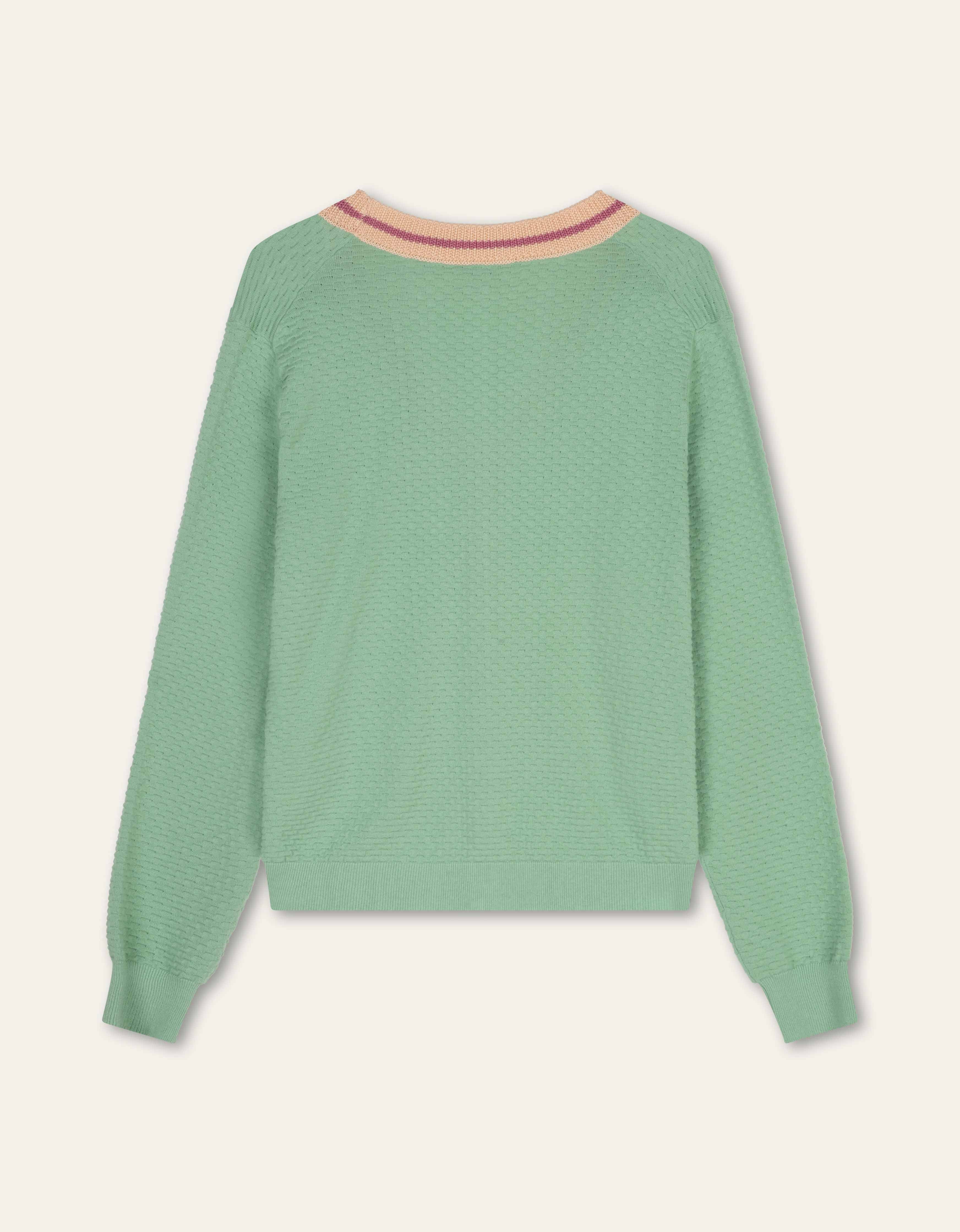 Vibrant Cardigan