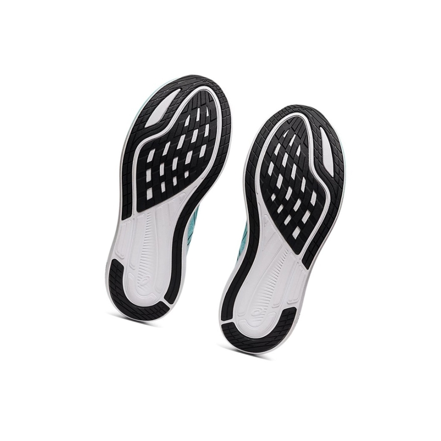 Blue / Black Women's Asics EvoRide 3 Running Shoes | US04689SP - Asics Outlet Sale