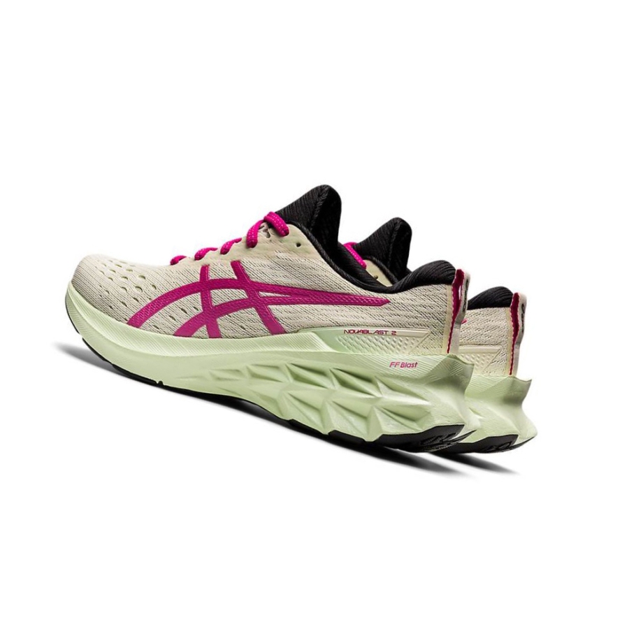 Beige Women's Asics NOVABLAST 2 Running Shoes | US40219SK - Asics Outlet Sale