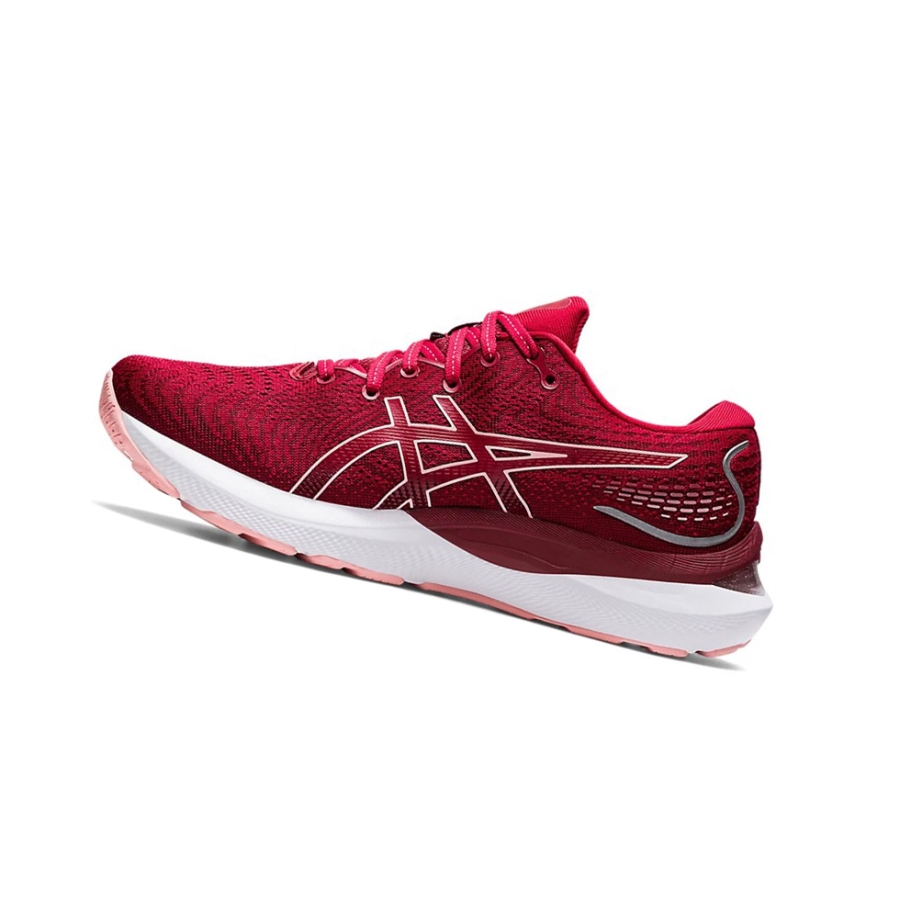 Cranberry / Frosted Rose Women's Asics GEL-CUMULUS 24 Running Shoes | US71054NS - Asics Outlet Sale