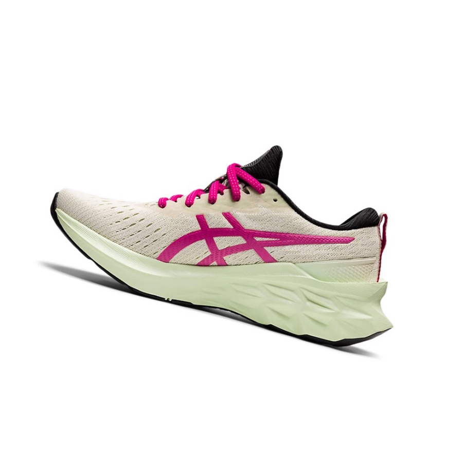 Birch / Pink Rave Women's Asics NOVABLAST 2 Running Shoes | US42580MK - Asics Outlet Sale