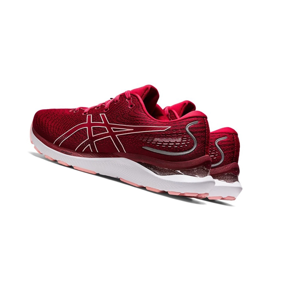 Cranberry / Frosted Rose Women's Asics GEL-CUMULUS 24 Running Shoes | US71054NS - Asics Outlet Sale