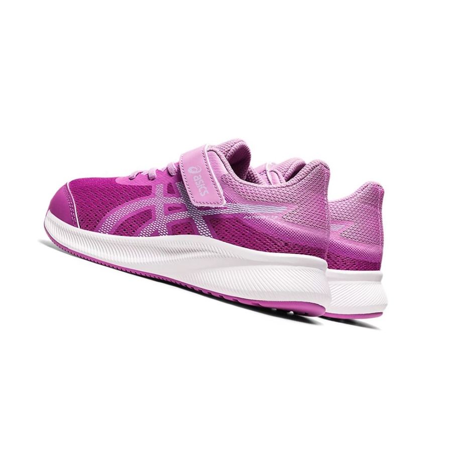 Orchid / Soft Sky Kids' Asics PATRIOT 13 PS Running Shoes | US78351ZK - Asics Outlet Sale