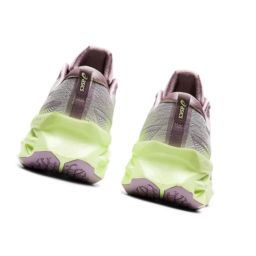 Dusk Violet / Pure Silver Women's Asics NOVABLAST 2 Running Shoes | US34702IW - Asics Outlet Sale