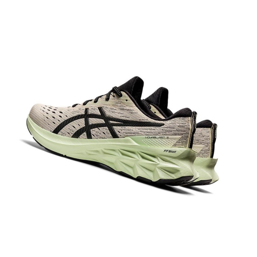 Beige Men's Asics NOVABLAST 2 Running Shoes | US91465UN - Asics Outlet Sale