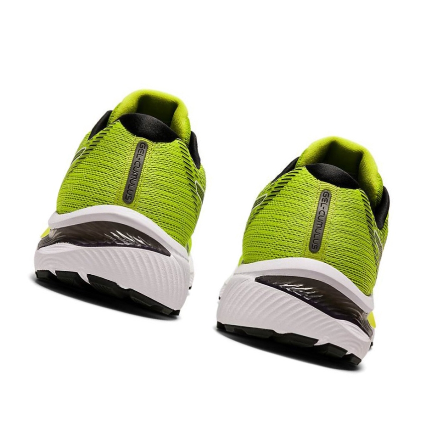 Light Green Men's Asics GEL-CUMULUS 22 Running Shoes | US43015PB - Asics Outlet Sale