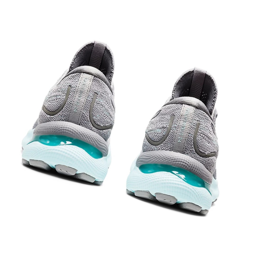 Sheet Rock / Piedmont Grey Women's Asics GEL-NIMBUS 24 MK Running Shoes | US13809CP - Asics Outlet Sale