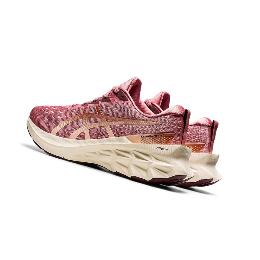 Smokey Rose / Pure Bronze Women's Asics NOVABLAST 2 Running Shoes | US28534TD - Asics Outlet Sale