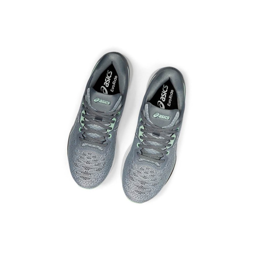 Grey Women's Asics EVORIDE Running Shoes | US50631IE - Asics Outlet Sale