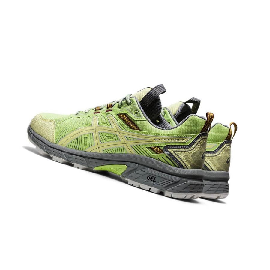 Light Green Men's Asics HN1-S GEL-VENTURE 7 Sneakers | US52308ZG - Asics Outlet Sale