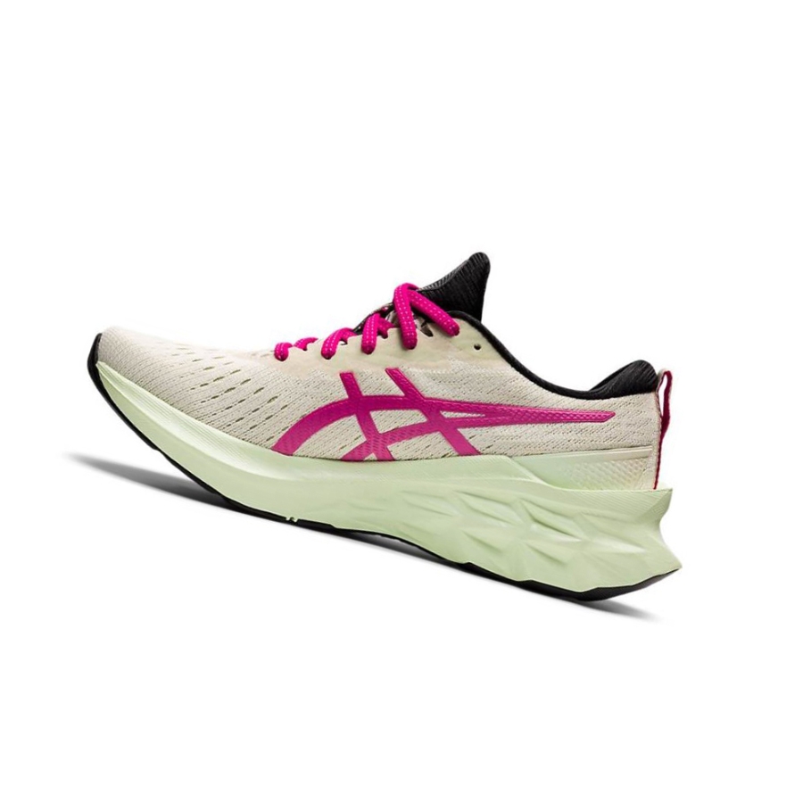 Beige Women's Asics NOVABLAST 2 Running Shoes | US40219SK - Asics Outlet Sale