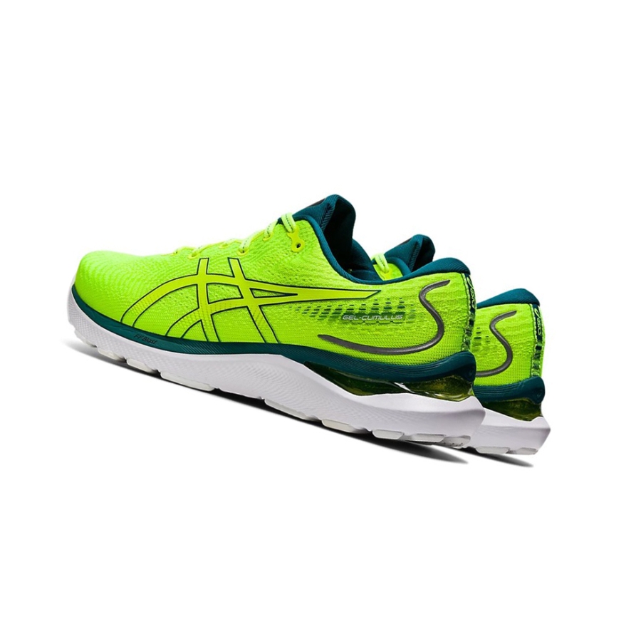 Safety Yellow / Velvet Pine Men's Asics GEL-CUMULUS 24 Running Shoes | US18273BN - Asics Outlet Sale