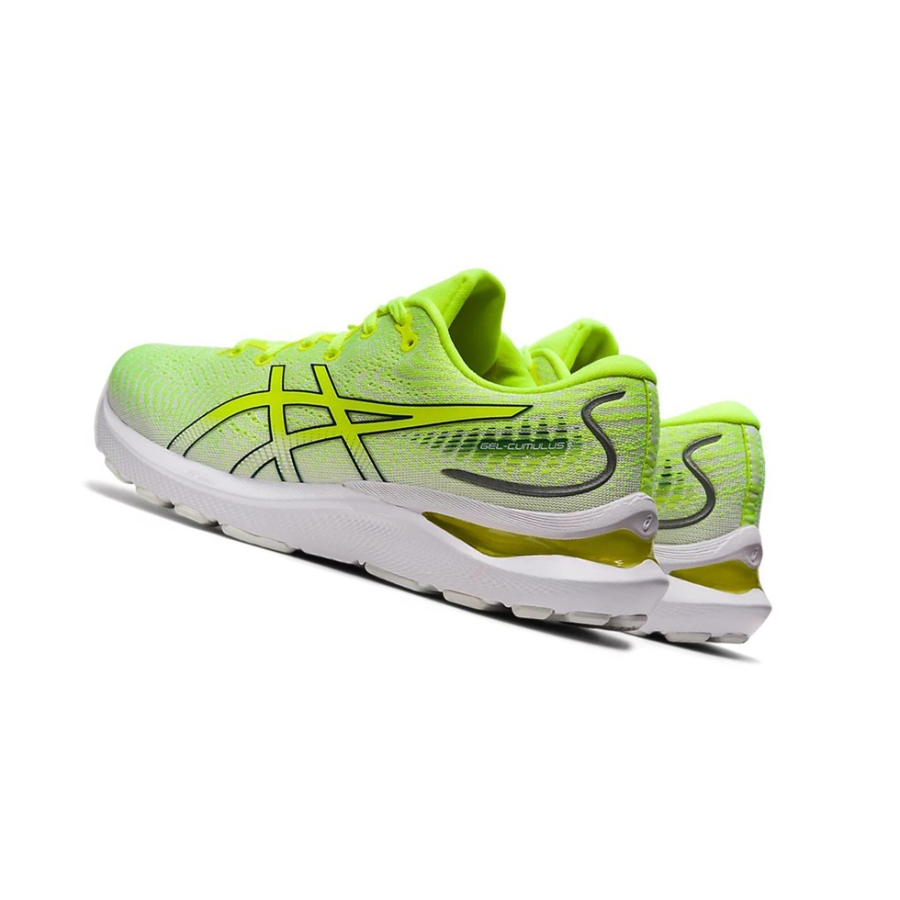 Safety Yellow / Velvet Pine Women's Asics GEL-CUMULUS 24 Running Shoes | US06732JF - Asics Outlet Sale