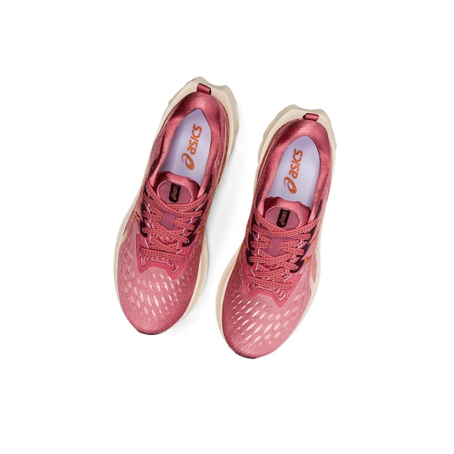Smokey Rose / Pure Bronze Women's Asics NOVABLAST 2 Running Shoes | US28534TD - Asics Outlet Sale