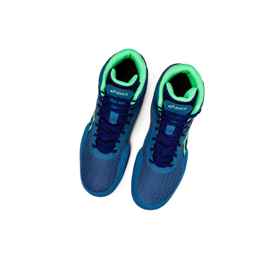 Azure / New Leaf Men's Asics MATFLEX 6 Wrestling Shoes | US38475OR - Asics Outlet Sale