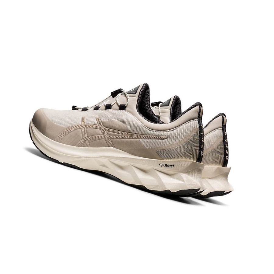 Beige Men's Asics NOVABLAST Running Shoes | US95623DQ - Asics Outlet Sale