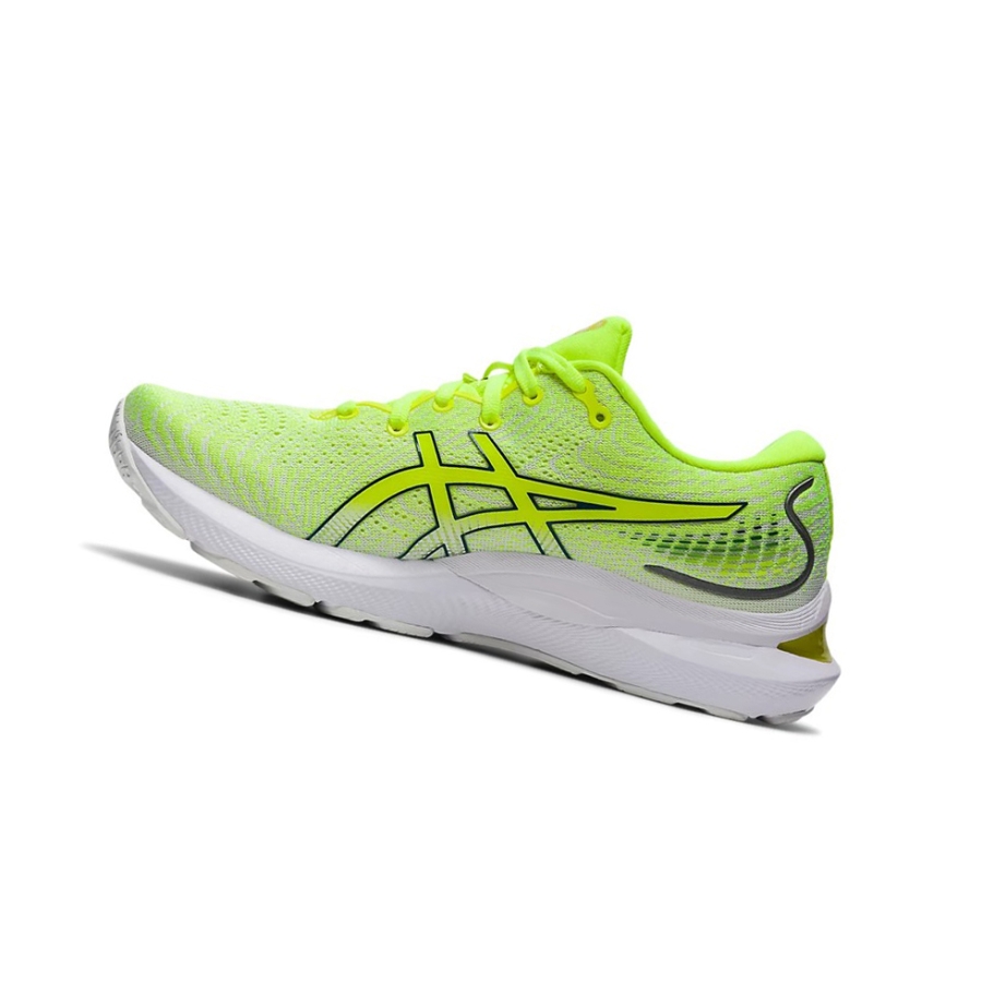 Safety Yellow / Velvet Pine Women's Asics GEL-CUMULUS 24 Running Shoes | US06732JF - Asics Outlet Sale
