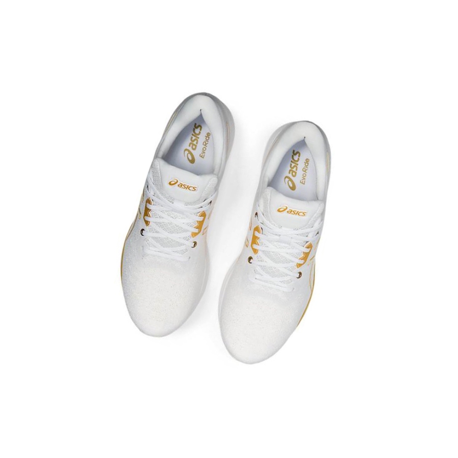White Women's Asics EVORIDE Running Shoes | US48326DU - Asics Outlet Sale