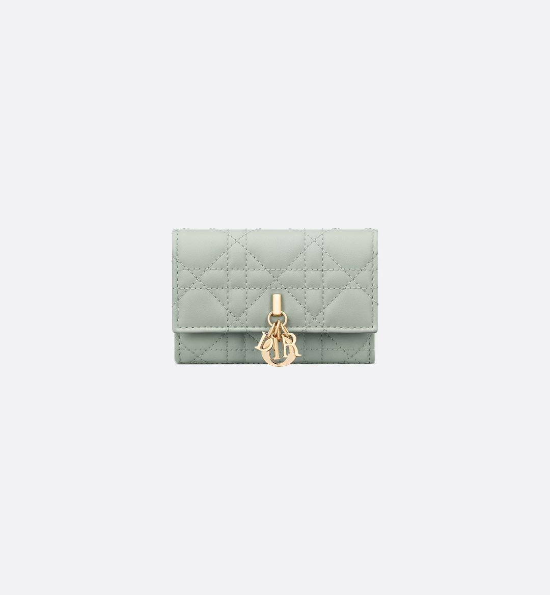 Replicate My Dior Glycine Wallet(1:1 replica)