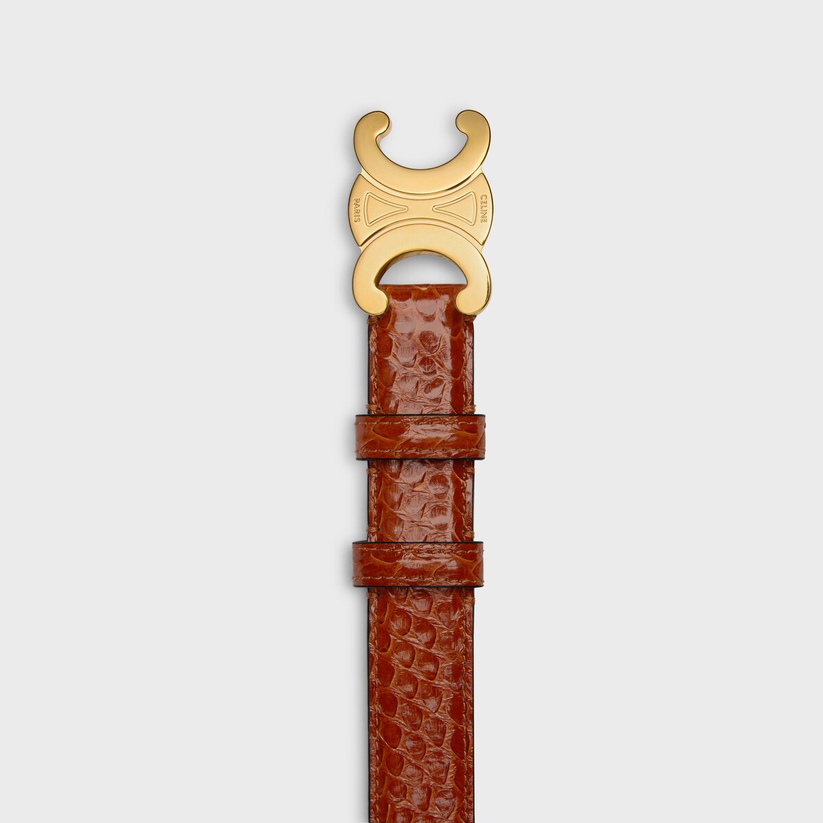 Replicate Medium Triomphe Belt in PYTHON(1:1 replica)